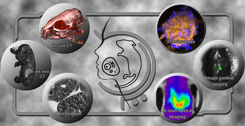 Translational Molecular Imaging