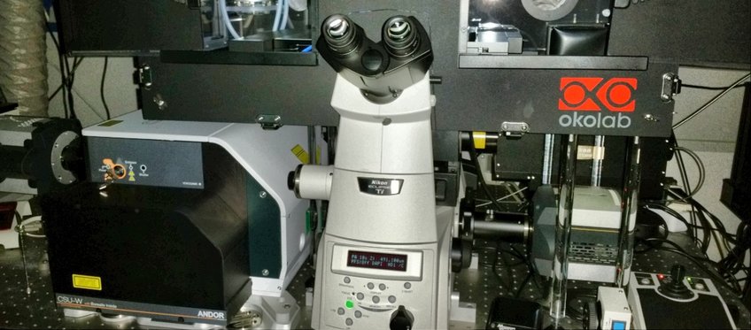 Light Microscopy Facility Light Microscopy Facility