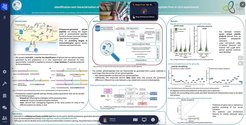 Hannas Poster "InvitroSPI: Identification and characterisation ofproteasome-generated spliced and non-spliced peptides from in vitro experiments"