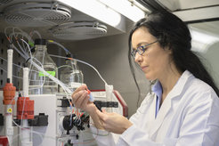 © Irene Böttcher-Gajewski / Max Planck Institute for Multidisciplinary Sciences