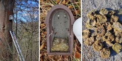Nistkästen finden – Nistkästen öffnen – Nester sammeln.