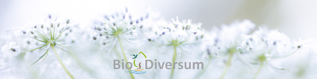 Biotope Blog 2021