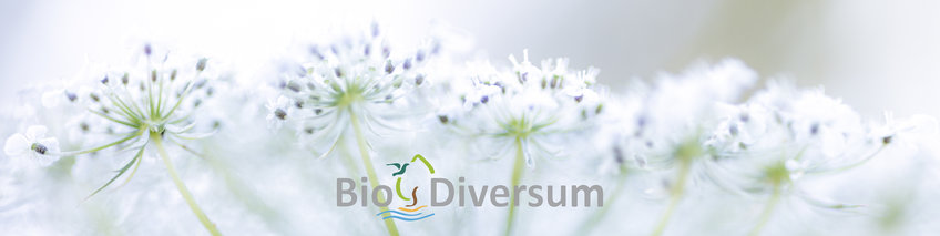 Biotop-Blog 2021 Biotop-Blog 2021