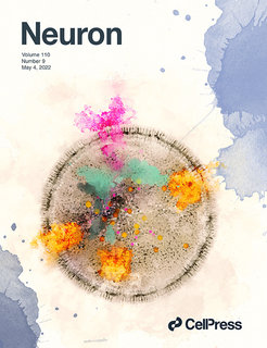 The cover shows an artistic illustration of the most abundant synaptic vesicle (SV) in the rodent brain containing two distinct neurotransmitter transporters, VGLUT (yellow) and ZnT3 (pink). The green highlights inside the SV represent the crosstalk between the transporters. Using a newly developed super resolution nanoscopy, Upmanyu et al. classified SVs based on the phenotype of neurotransmitter transporter/s at single vesicle level and demonstrate that the majority of SVs are specific for a single neurotransmitter. They show, however, that a heterogeneous population of SVs carry distinct dual transporters. The biochemical and functional characterization of the VGLUT1-ZnT3 positive SVs show that zinc influences vesicular glutamate content and quantal size via ZnT3