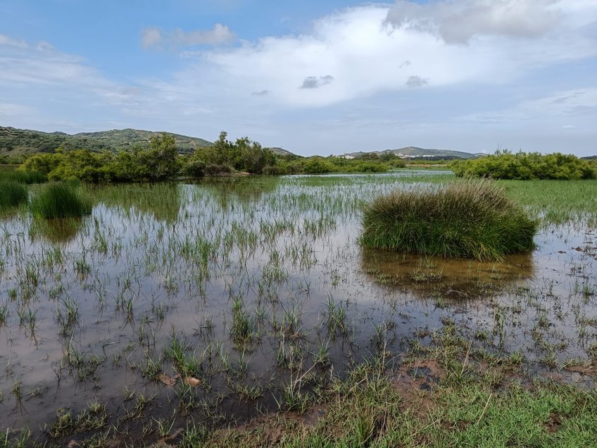 Fieldwork in Menorca