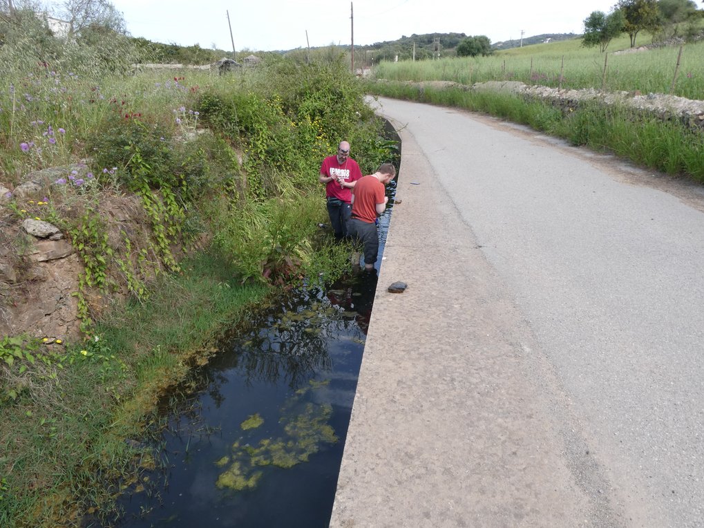 Fieldwork in Menorca