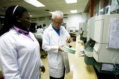 Prof. Dr. Stefan H.E. Kaufmann (rechts) führt Immunogenitätstests an menschlichen Proben durch.