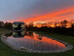 © Irene Böttcher-Gajewski / Max Planck Institute for Multidisciplinary Sciences