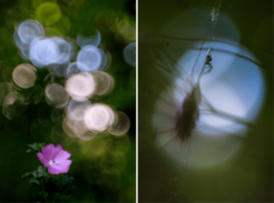 © left: Carmen Rotte / Max Planck Institute for Multidisciplinary Sciences; right: Stefan Imig