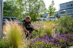 © Irene Böttcher-Gajewski / Max-Planck-Institut für Multidisziplinäre Naturwissenschaften