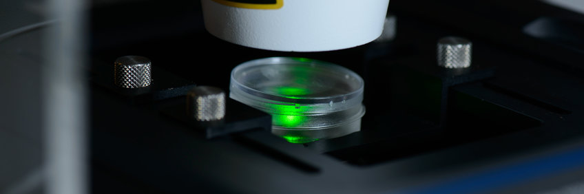 Facility for Light Microscopy Facility for Light Microscopy