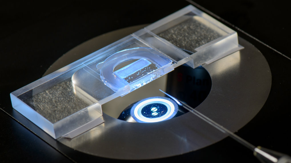 Facility for Light Microscopy