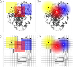© Dieball et al.