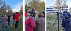 © Silke Schlott & Stefanie Asper / Max-Planck-Institut für Multidisziplinäre Naturwissenschaften