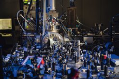 © Irene Böttcher-Gajewski / Max Planck Institute for Multidisciplinary Sciences