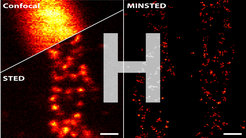 © Michael Weber / Max-Planck-Institut für Multidisziplinäre Naturwissenschaften