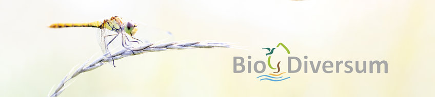 Biotope Blog 2024 Biotope Blog 2024