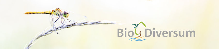 Biotop-Blog