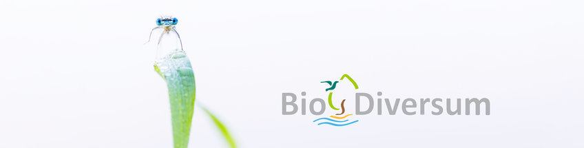 Biotop-Blog 2022 Biotop-Blog 2022