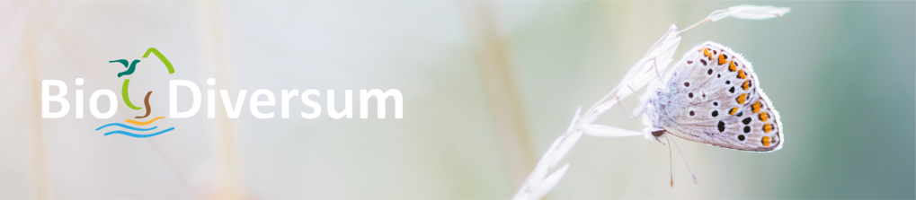 Biotope Blog – Posts of Recent Years