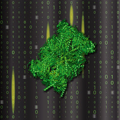 Mithilfe innovativer Computerprogramme und biochemischer Experimente identifizierten und quantifizierten Forschende Fragmente, die der zelluläre Müllschlucker – das Proteasom – beim Proteinrecycling erzeugt und auch neu zusammenfügt.