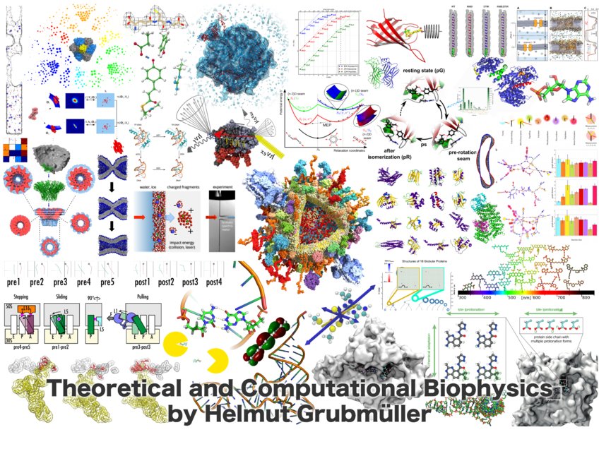 Theoretische und Computergestützte Biophysik Theoretische und Computergestützte Biophysik