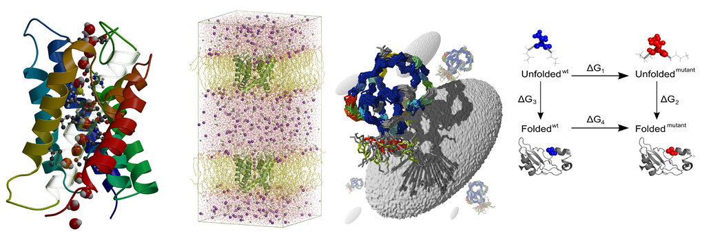 Computergestützte Biomolekulare Dynamik