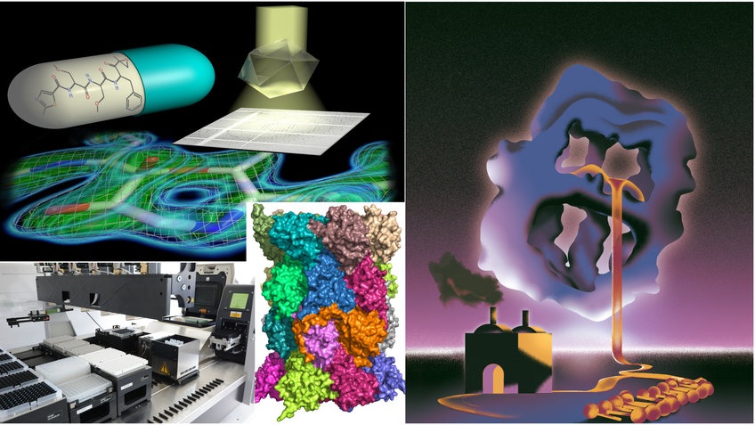 Strukturelle Biochemie und Mechanismen