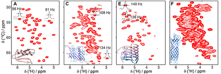 Festkörper-NMR-Spektroskopie Festkörper-NMR-Spektroskopie
