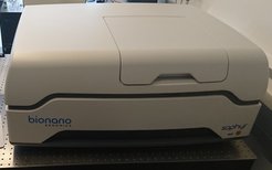 Optisches Genom-Mapping Saphyr-System von Bionano Genomics. Es detektiert strukturelle Genomvariationen im Bereich von 500 bp bis hin zu Megabasenpaaren. Es kann für die De-novo-Genomassemblierung verwendet werden, wenn es mit Sequenzierungsdaten ergänzt wird. Chips und DNA-Markierungskits können bei Bionano Genomics oder, falls dringend benötigt, bei unserer Gruppe erworben werden.