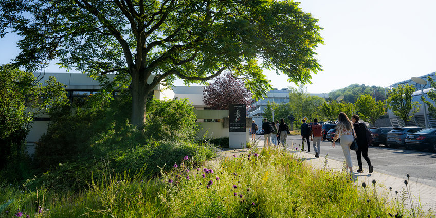 Alumni_Netzwerk.jpg Alumni_Netzwerk.jpg