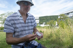 Wild bee expert Thomas Fechtler