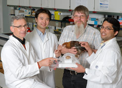 Dr. Roland Tammer, Dr. Shuo Zhang, Siegfried Machemehl from the Poultry Breeding Club, and Arun Joseph (from left to right) show the cock hatched a few weeks ago in the MRI system and the self-created breeding cavity.