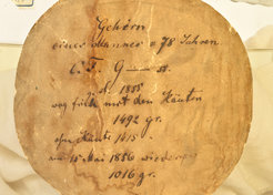 Historisches Etikett für das Hirnpräparat von Conrad Heinrich Fuchs: „Gehirn eines Mannes v. 52 Jahren. C.H. Fuchs. Gestorben 5. Dec. 1855, Gewicht mit den Häuten 1499 Gramm. (nach 3mal. Weingeistwechsel 1089 gr.)“.