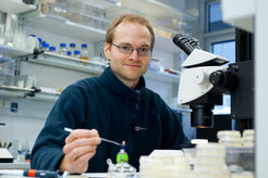 Dr. Henrik Bringmann