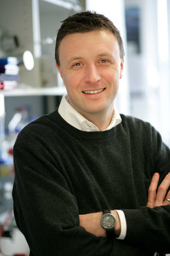 Prof. Dr. Patrick Cramer