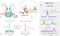 (a) Schematic of a DNP experiment and its mechanism in liquids. (b) Measured 13C DNP enhancement of the model system CCl4, reaching a factor of about 103 (Liu et al, Nature Chemistry 2017). Right: 13C NMR spectra obtained at 9.4 Tesla and room temperature in small organic molecules under DNP condition (from Orlando et al, Angew. Chemie 2019).