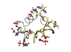 Crystal structure of insulin displaying the A-chain containing an intrachain disulfide bond, and the B-chain with two additional disulfide bonds linking the chains.
