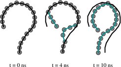 Figure 3: Transition from the open cargo and Ran-bound nuclear state to the closed cytoplasmic state. The initial open state is indicated as the black line in all images.