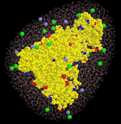 Example of a solvation shell created by SOLVATE.