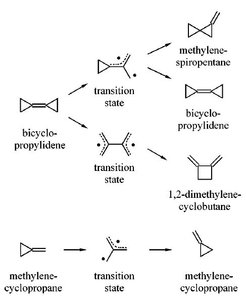 Summary of identified reaction pathways for the two test molecules that have been studied.