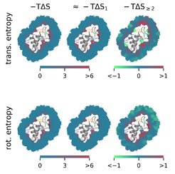 Per|Mut applied to calculate the translational and rotational hydration entropies of the protein Crambin