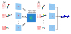 Two approaches to structure determination from single-molecule diffraction experiments. For each recorded image, photon arrival positions are shown in red (dark gray) dots. (a) The spatial orientation (θ,ψ,ϕ) of the irradiated molecule, here a glutathione, is determined for each of the images separately, and the molecular transform is derived by averaging the images in reciprocal space. (b) A structure that fits best to the entire set of photon arrival positions is determined.