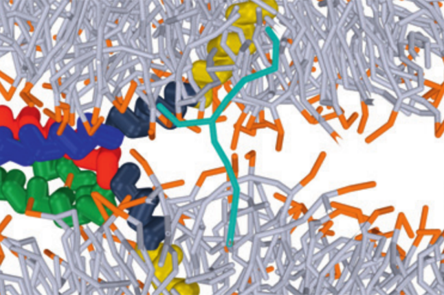 Mechanisms and Energetics of Membrane Fusion