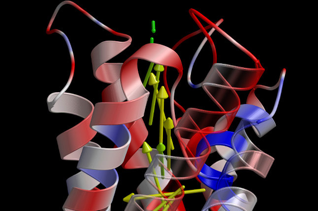 Selectivity of Aquaporin 1 Against Protons