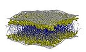 Effect of Sodium Chloride on Lipid Bilayers