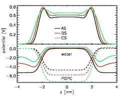 Figure 2: Upper panel: Total electrostatic potential (averaged and symmetrized) across the membrane (system AS without NaCl black, BS with sodium chloride at 110mM concentration red, and CS at a NaCl concentration of 330mM green line). Lower panel: Contributions of water (dipole) potential (solid lines) and of POPC distribution (dashed lines) to the total electrostatic potential.