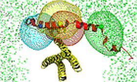Conformational Switching Dynamics of Syntaxin 1