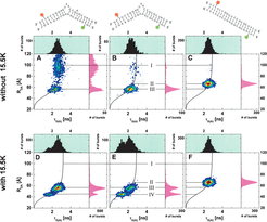 Multiparameter fluorescence measurements on the k-turn motif. Please see publication for a detailed figure description.