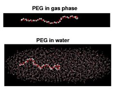 Figure 1: The two PEG simulation setups: PEG in gas phase (top) and PEG in water (bottom).